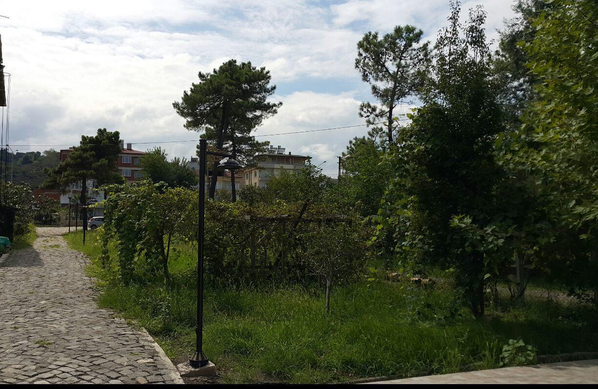 Sebile Hanim Sahil Hotel Unye Exterior foto