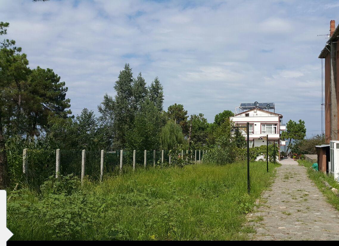 Sebile Hanim Sahil Hotel Unye Exterior foto